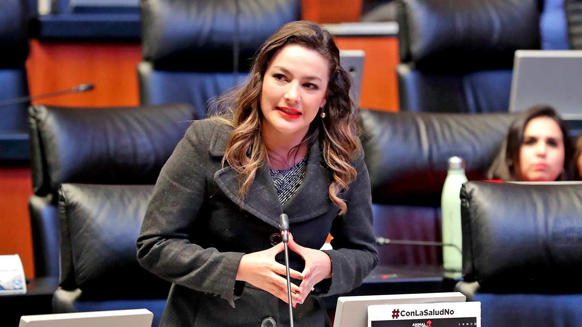 Martha Márquez senadora por Aguascalientes